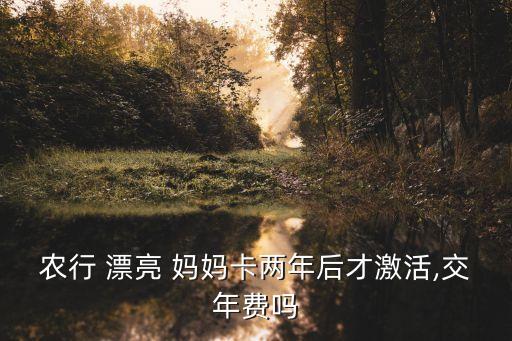 漂亮媽媽卡年費(fèi)是多少,農(nóng)行漂亮媽媽卡有年費(fèi)嗎