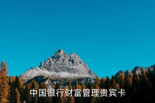 中行理財(cái)卡年費(fèi)多少,香港中行智盈理財(cái)卡