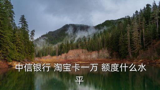  中信銀行 淘寶卡一萬 額度什么水平