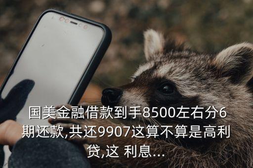  國美金融借款到手8500左右分6期還款,共還9907這算不算是高利貸,這 利息...