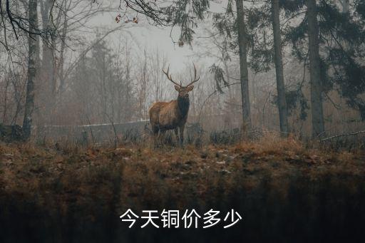 今天銅價多少