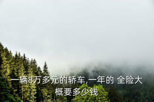 一輛8萬(wàn)多元的轎車(chē),一年的 全險(xiǎn)大概要多少錢(qián)