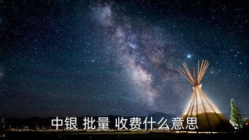 中行批量收費是多少