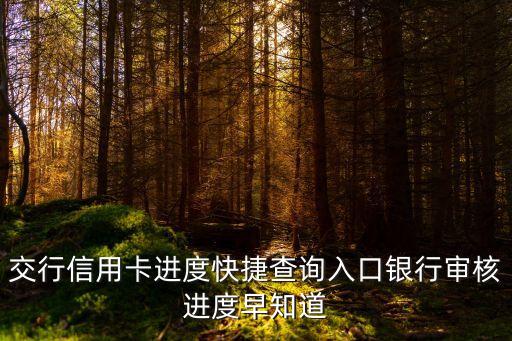 交行信用卡進(jìn)度快捷查詢(xún)?nèi)肟阢y行審核進(jìn)度早知道