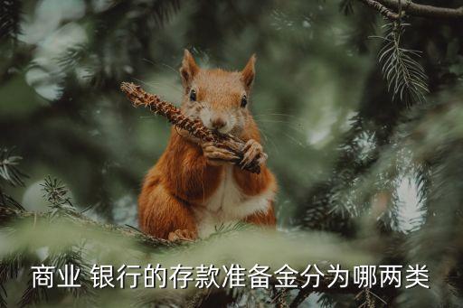 銀行儲備金多少,一家銀行一般多少儲備金?