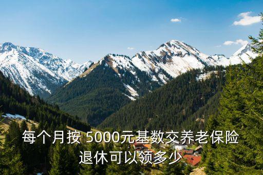 工資5000養(yǎng)老金多少錢,養(yǎng)老金工資多少錢一個月