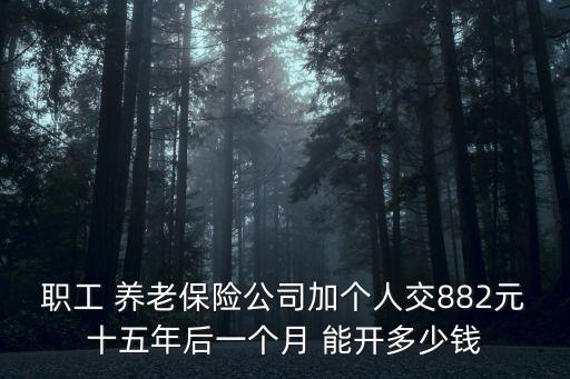 養(yǎng)老保險能開多少錢,個人養(yǎng)老保險怎么交費(fèi)