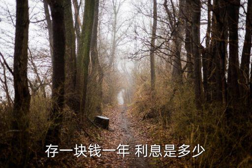 存一塊錢一年 利息是多少