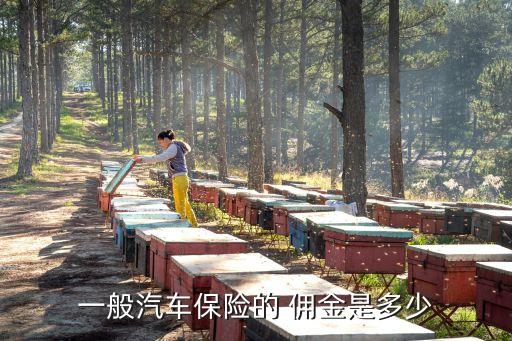 一般汽車保險的 傭金是多少