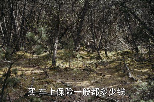 買車上全險(xiǎn)多少錢,全險(xiǎn)多少錢一年
