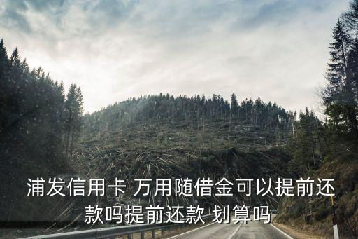  浦發(fā)信用卡 萬用隨借金可以提前還款嗎提前還款 劃算嗎