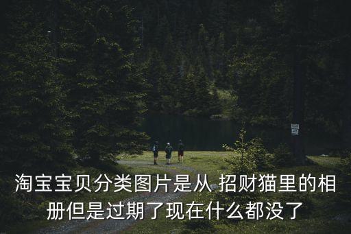 淘寶寶貝分類圖片是從 招財(cái)貓里的相冊(cè)但是過(guò)期了現(xiàn)在什么都沒(méi)了