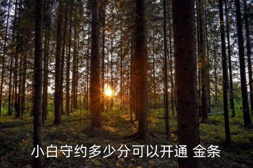 小白守約多少分可以開通 金條