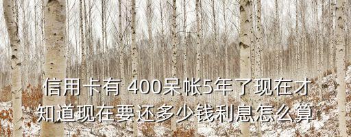  信用卡有 400呆帳5年了現(xiàn)在才知道現(xiàn)在要還多少錢利息怎么算
