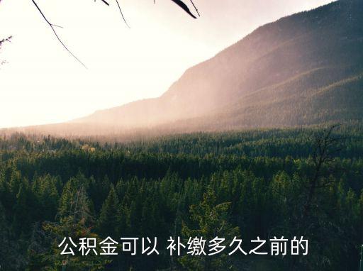  公積金可以 補(bǔ)繳多久之前的