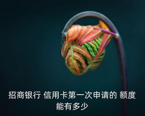 招商銀行 信用卡第一次申請的 額度能有多少