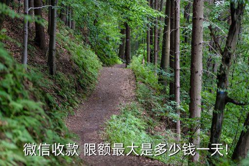  微信收款 限額最大是多少錢(qián)一天!