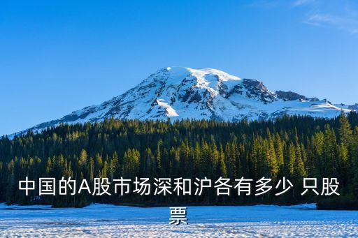 中國的A股市場深和滬各有多少 只股票
