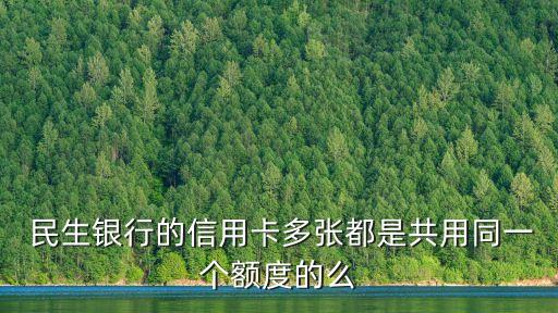  民生銀行的信用卡多張都是共用同一個額度的么