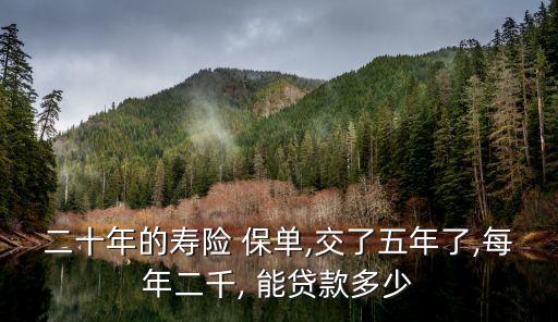 二十年的壽險 保單,交了五年了,每年二千, 能貸款多少