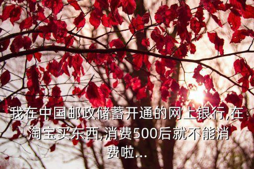 我在中國郵政儲(chǔ)蓄開通的網(wǎng)上銀行,在 淘寶買東西,消費(fèi)500后就不能消費(fèi)啦...