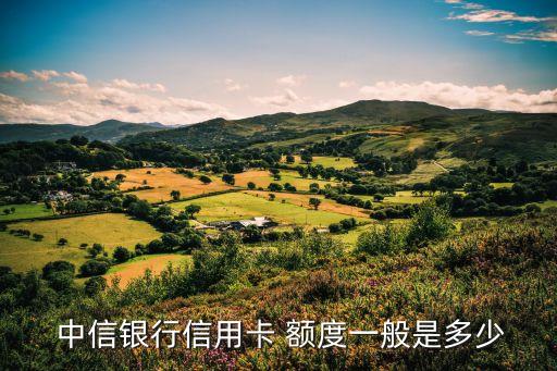 中信雙幣魔力金卡額度多少錢