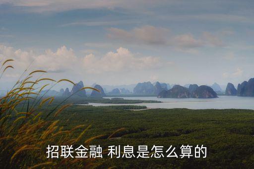 招聯(lián)金融 利息是怎么算的