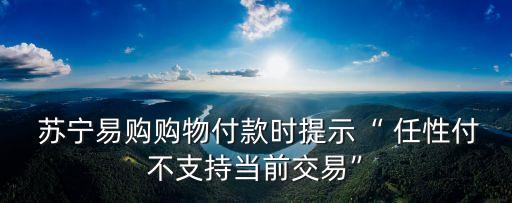  蘇寧易購購物付款時提示“ 任性付不支持當(dāng)前交易”