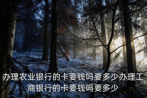 農(nóng)行借記卡工本費(fèi)多少錢