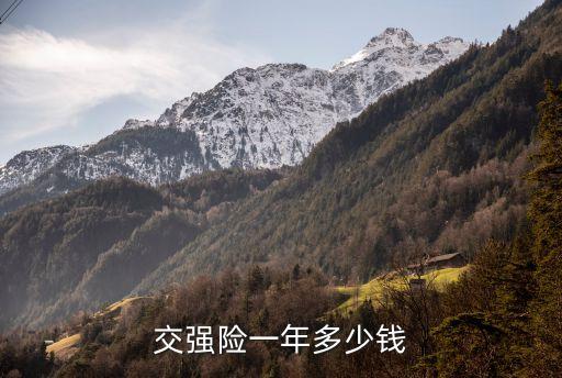 交強(qiáng)險一年多少錢
