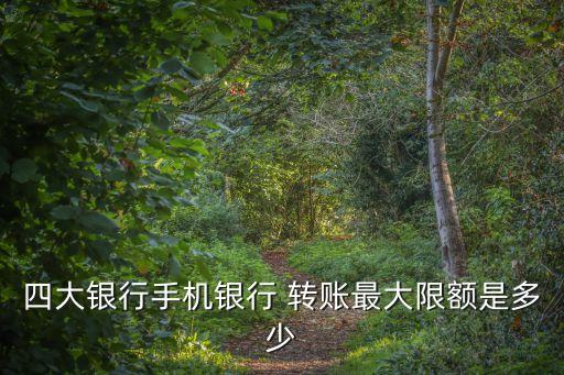 四大銀行手機(jī)銀行 轉(zhuǎn)賬最大限額是多少