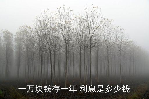 存銀行一年期利息是多少,100000元存銀行一年利息多少