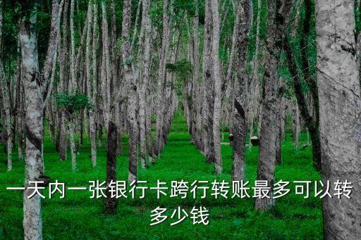匯款一次性能匯多少錢,國(guó)外匯款一次性最多轉(zhuǎn)多少
