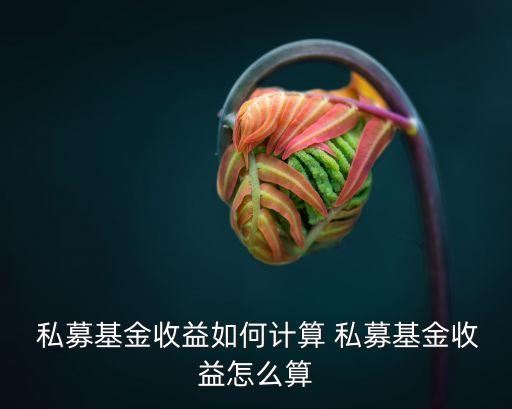  私募基金收益如何計算 私募基金收益怎么算