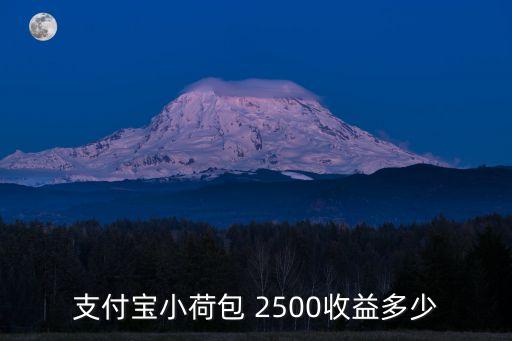 支付寶小荷包 2500收益多少