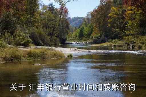 關(guān)于 匯豐銀行營(yíng)業(yè)時(shí)間和轉(zhuǎn)賬咨詢(xún)