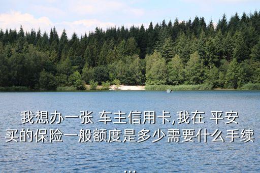 我想辦一張 車主信用卡,我在 平安買的保險(xiǎn)一般額度是多少需要什么手續(xù)...