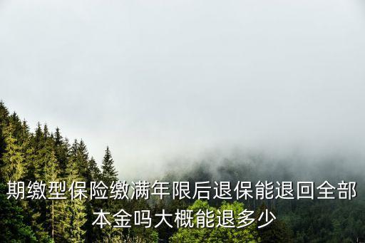 期繳型保險(xiǎn)繳滿(mǎn)年限后退保能退回全部 本金嗎大概能退多少