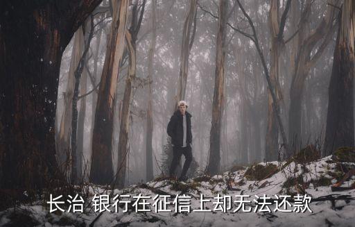 長治銀行電話是多少錢,長治山西銀行電話