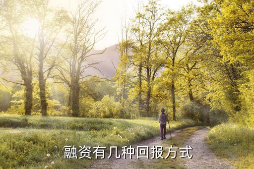  融資有幾種回報方式