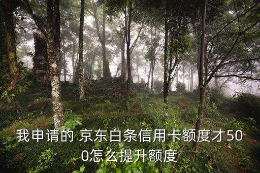京東視頻認(rèn)證提額多少錢,京東公積金認(rèn)證提額