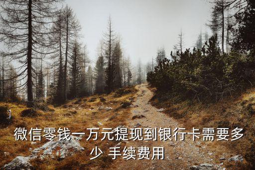 微信提10000要扣多少手續(xù)費多少錢