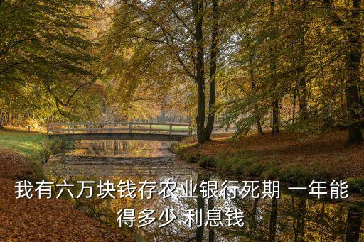 我有六萬塊錢存農(nóng)業(yè)銀行死期 一年能得多少 利息錢