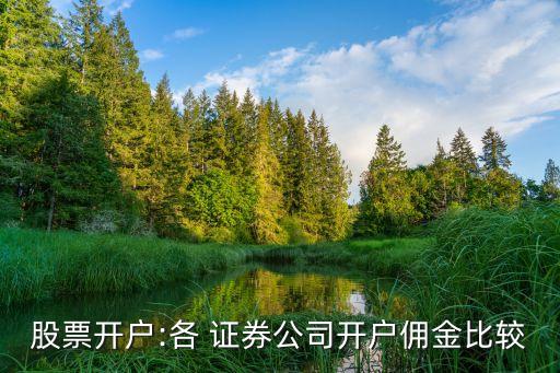 股票開戶:各 證券公司開戶傭金比較
