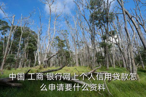 中國 工商 銀行網(wǎng)上個(gè)人信用貸款怎么申請要什么資料