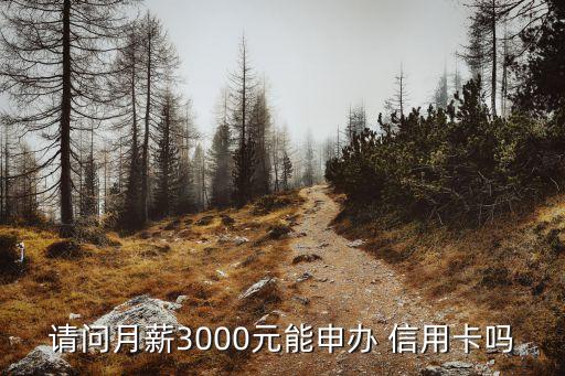 請問月薪3000元能申辦 信用卡嗎