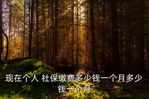 2015社保個(gè)人交多少,農(nóng)村社保一年要交多少錢2015