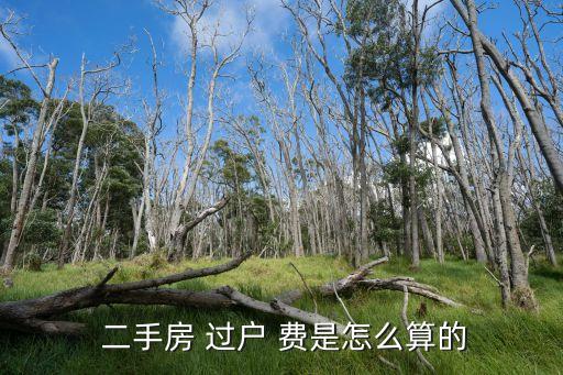 購(gòu)買(mǎi)二手房過(guò)戶費(fèi)是多少錢(qián),二套房購(gòu)買(mǎi)二手房過(guò)戶費(fèi)怎么算