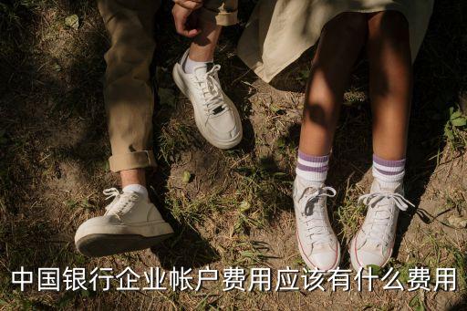 中行對公取現(xiàn)手續(xù)費多少,中行公對私轉賬手續(xù)費怎么收