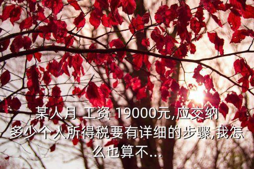 某人月 工資 19000元,應(yīng)交納多少個(gè)人所得稅要有詳細(xì)的步驟,我怎么也算不...